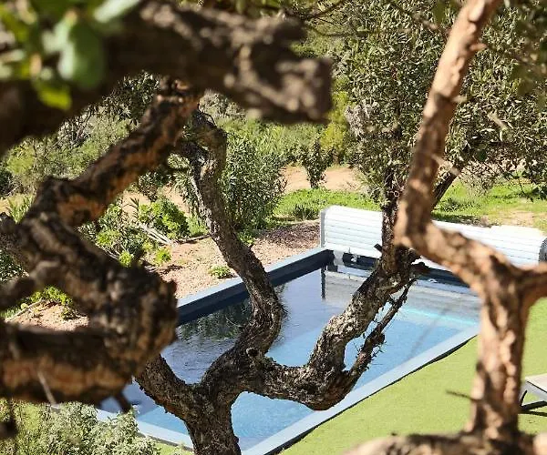 A Casa Di Santa Giulia